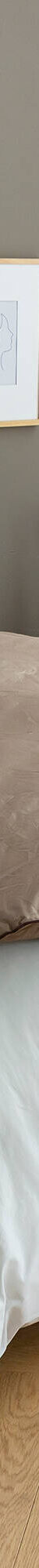 Édredon naturel duvet et plumettes qualité prestige (taupe) Édredon naturel duvet et plumettes qualité prestige (taupe)